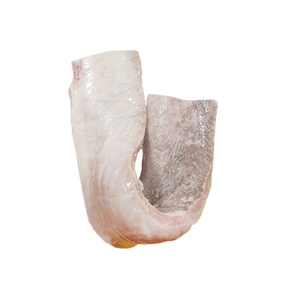 Ventre de poisson marlin sauvage de haute qualité surgelés IQF Fruits de mer exportateur fournisseur en gros pour les importateurs mondiaux - Product Image 3