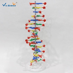 <span class=keywords><strong>Modèle</strong></span> <span class=keywords><strong>moléculaire</strong></span> biologique de la structure de la double hélice de l'ADN, présentation pour enseignants, outil pédagogique de biologie, <span class=keywords><strong>modèle</strong></span> de structure génétique - Product Image 2