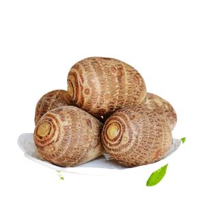 Taro frais légumes exportation alimentaire Taroes <span class=keywords><strong>Dasheen</strong></span> Chine vente en gros - Product Image 3