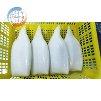 Tube de calmar congelé U2 U3 U4 U5 U6 U7 U8 U10, approvisionnement direct usine