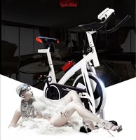 Vélos d'appartement pour cyclisme en intérieur, hauteur et résistance réglables, faible bruit, montage facile pour cardio à domicile et perte de poids