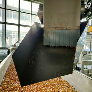 Dây chuyền sản xuất đậu tương, đậu nành, đậu xanh đóng hộp - Product Image 4