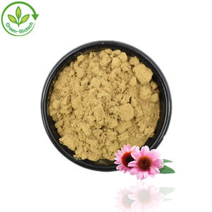 Ekstrak polifenol ekstrak herbal organik bubuk ekstrak <span class=keywords><strong>Echinacea</strong></span> Purpurea alami murni - Product Image 1