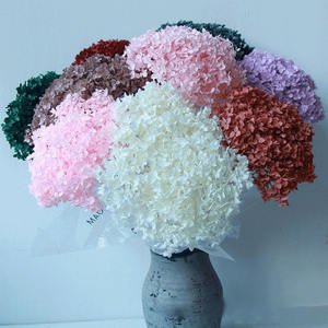 زهرة وخالدة بأوراق كبيرة من نبات الهيدرا, زهور مجففة بقطعة واحدة من نبات الهدرانيا ، زهور مجففة صغيرة من نبات الهدرانيا - Product Image 1