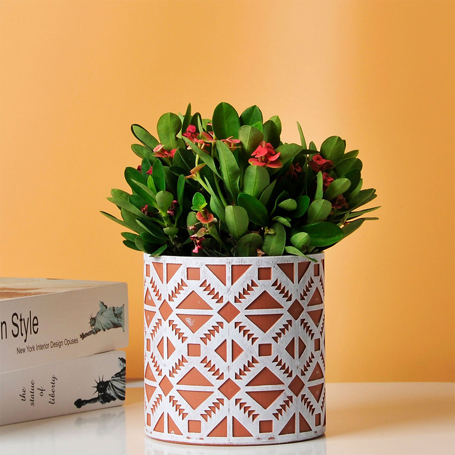 Modern 3-Piece Ceramic Surface Planter Set for Bonsai - Decorative Round  Planters for Home & Garden Use
