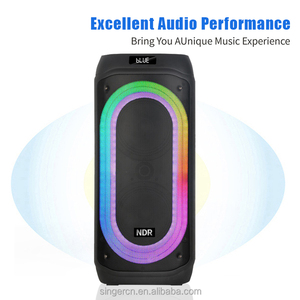 Enceinte de sol Bluetooth double 8 pouces haute puissance NDR-818 pour home cinéma, salon, TV, karaoké et soirées - Product Image 2