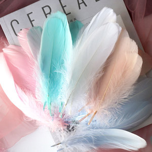 10-18Cm Nhuộm Lông Ngỗng Tự Làm Dreamcatcher Tự Nhiên Chất Lượng Cao Lông Phụ Kiện Lễ Hội Lông Cho Hàng Thủ Công - Product Image 1