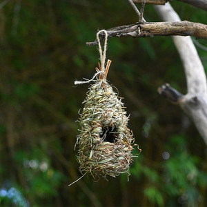 Nid d'oiseau tissé en herbe, taille moyenne, décoration de jardin faite à la main pour les oiseaux, origine Fujian - Product Image 1