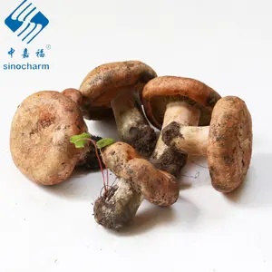 Hoang Dã Lactarius Deliciosus Nấm