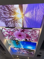 ZHIHAI — design de plafond en pvc du bangladesh, nouveau design pop de dubaï