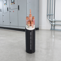 Câble d'alimentation ignifuge CU/XLPE/PVC 0,6/1 kV pour la station énergétique régionale, le réseau de refroidissement, de chauffage et d'alimentation électrique