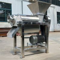 Commerciële Fruitpulper Kleine Kokosmelk Juicer Machine Biet Apple Caraud Sap Maken Persmachine
