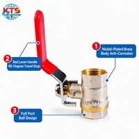Robinet à bille en laiton nickelé 1/2" NPT, filetage femelle, levier rouge, fermeture à 90 degrés pour eau, usage industriel, OEM