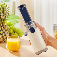 Elektrische slowjuicer-extractor Machine Hoog rendement roestvrij staal 300 ml capaciteit Vruchtensapmaker voor thuis commercieel gebruik