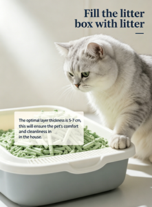 ทรายแมวกลิเวย์ ท๊อฟฟี่ ปราศจากฝุ่น สะอาด กลิ่นชาเขียวธรรมชาติ จับตัวเป็นก้อนแข็ง ล้างออกได้ ควบคุมกลิ่นด้วยถ่านกัมมันต์ - Product Image 4