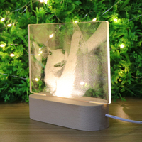 Lampe de nuit 3D en forme de chien, lampe de nuit LED USB, lampe de table en acrylique 3D pour la décoration de la maison