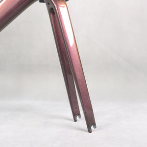 <span class=keywords><strong>Cuadro</strong></span> de carbono superligero para <span class=keywords><strong>bicicleta</strong></span>, cable oculto completo, camaleón 1002 FM201, <span class=keywords><strong>cuadro</strong></span> de <span class=keywords><strong>bicicleta</strong></span> de carretera T47 T1000 - Product Image 3