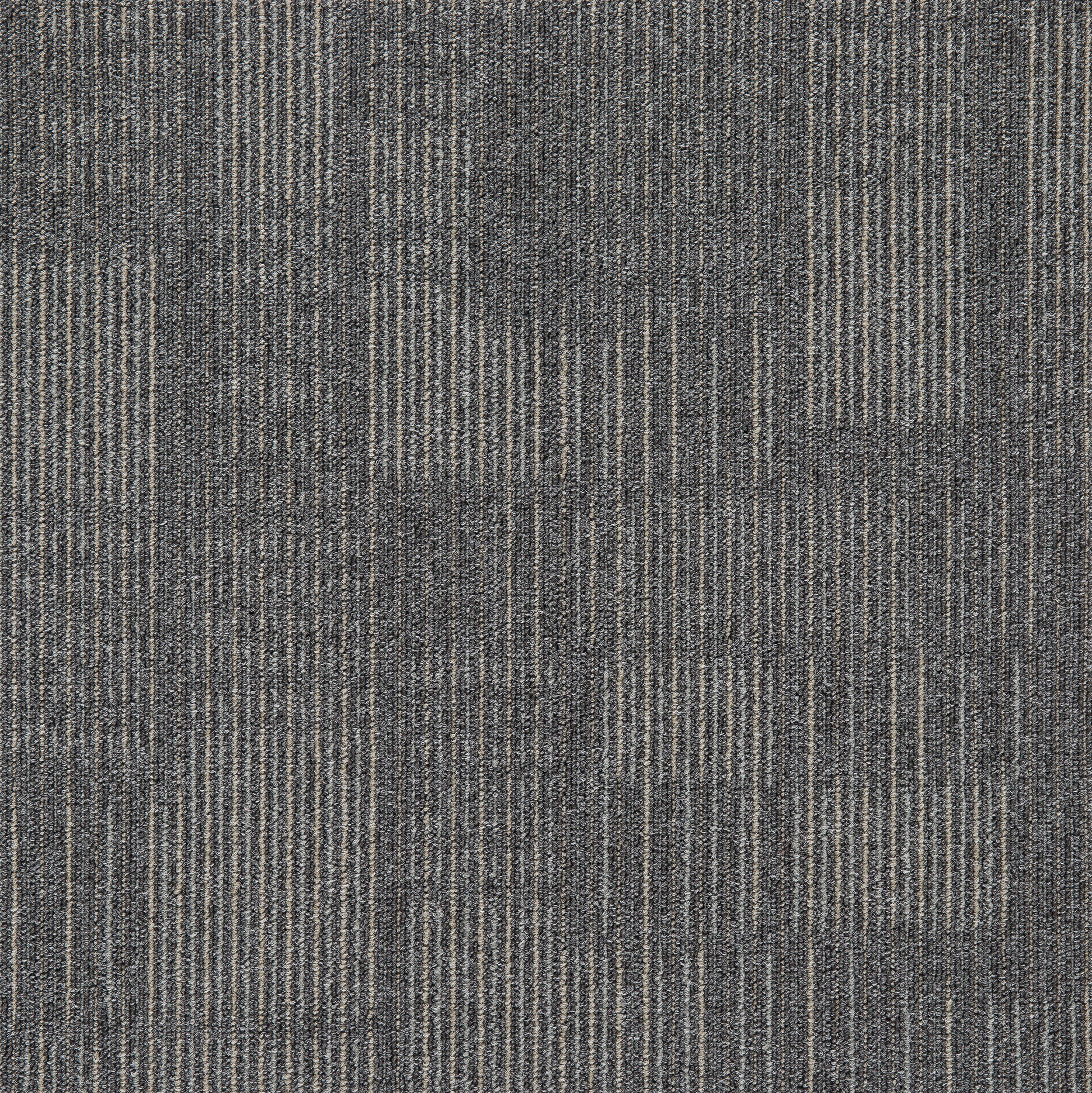 Grey12