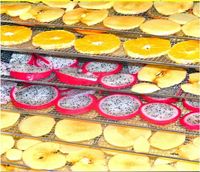 Hoge kwaliteit commerciële voedseldroger van roestvrij staal voor het drogen van chili, appel, mango en cassave