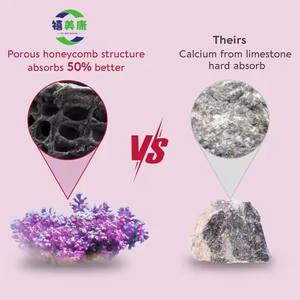 Multivitamínico para mujer de etiqueta privada con hierro + calcio Suplemento dietético de goma para energía y salud inmunológica - Product Image 6