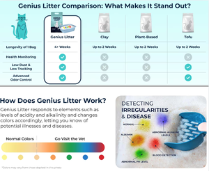 ทรายแมวซิลิกาเจลคุณภาพสูง ปราศจากฝุ่น ดูดซับดีเยี่ยม ช่วยดูแลสุขภาพแมว - Product Image 2