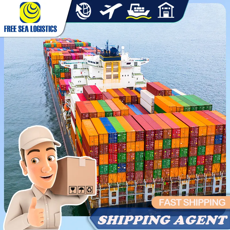 Shenzhen Shipping Agent Cargo Forwarder Full Container Freight Shipment To Dakar Senegal From China