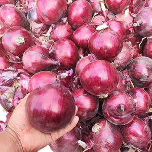 Hữu Cơ Tươi Màu Đỏ Hành Tây Giá Rẻ Bán Buôn Nhập Khẩu Xuất Khẩu Từ Trung Quốc Nhà Máy Chất Lượng Cao Màu Đỏ Hành - Product Image 1