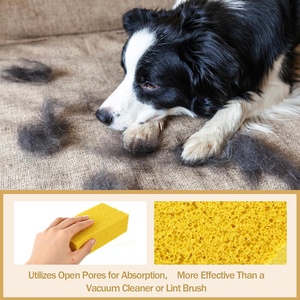 Huisdierharen verwijderaar spons katten- en hondenharen spons rubber huisdierharen verwijderaar verwijdering van meubels tapijt beddengoed kleding - Product Image 5