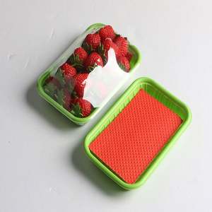 แผ่นซับน้ำผลไม้และผักแบบใช้แล้วทิ้ง คุณภาพสูง เกรดอาหาร สำหรับขายส่ง - Product Image 6