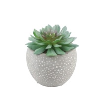 Pot de Plante Succulente Moderne sur Mesure en Ciment pour la Décoration Intérieure – Divers Types de Pots à Bonsaï et Jardinières
