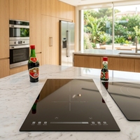Nouvelle arrivée 2026 - Table de cuisson à induction double 2 brûleurs 4000W, commande mécanique, faible bruit, cuisinière électrique encastrable en verre céramique