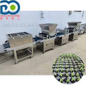 Automatic vegetable seedling machine mulching and pressure hole seed planting machine tomato seed planting