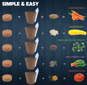 Kit <span class=keywords><strong>per</strong></span> la coltivazione di verdure-5 verdure speciali da coltivare-<span class=keywords><strong>tutto</strong></span> ciò di cui hai bisogno <span class=keywords><strong>per</strong></span> iniziare a crescere in una scatola! Kit da giardinaggio - Product Image 4