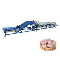 Geavanceerde industriële knoflook sorteermachine met hoogwaardige automatische maatclassificatietechnologie