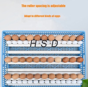 Incubateurs à œufs en plastique pour 100, <span class=keywords><strong>200</strong></span>, 300, 500, 1000 poulets, incubateurs solaires automatiques pour la vente d'œufs - Product Image 2