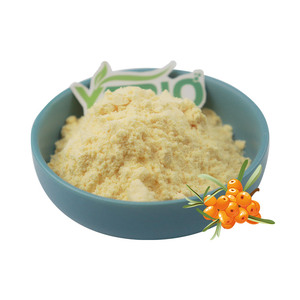Poudre de cynorrhodon naturelle en vrac - Poudre de fruit d'<span class=keywords><strong>Hippophae</strong></span> <span class=keywords><strong>Rhamnoides</strong></span> biologique pour compléments alimentaires, boissons et étiquette privée - Product Image 3