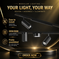 ALLWAY Lampe sur rail LED magnétique réglable à installation encastrée avec boîtier en aluminium personnalisable pour les lieux intérieurs, hôtels, bars et entreprises