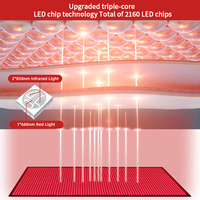 Selimut Terapi Cahaya Merah Inframerah Dekat LED REDSKY untuk Penggunaan di Rumah, Matras Yoga, 660Nm 850Nm untuk Tubuh