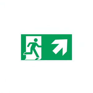 Uscita di emergenza segno freccia destra 220 in alluminio luminescente * 120mm - Product Image 2