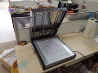 Séchoir LED 30CM A3+ pour four DTF L1118/L1800/1390, séchage et polymérisation de feuilles de film PET, d'encre et de poudre thermofusible A4 A3