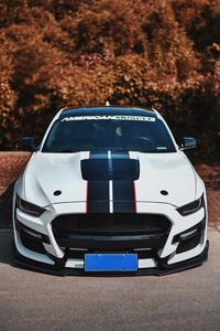 <span class=keywords><strong>Prix</strong></span> usine GT500 Style Capot En Aluminium Pour Ford <span class=keywords><strong>Mustang</strong></span> 18-21 - Product Image 6