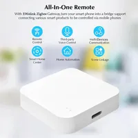 SLS Zigbee - Hub Multimodo Inalámbrico para el Hogar Inteligente Tuya con Cable Tipo C
