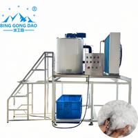 Machine à glace en flocons industrielle et commerciale, directe usine, eau douce, moteur automatique, capacité de stockage 500 kg, compresseur, moteur
