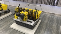 Ail semoir/machine de plantation d'ail/ail semoir