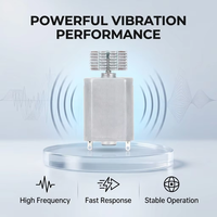 FK-130 DC Vibrationsmotor Exzentrisches Gewicht 3V 6V 12V Hochfrequenz Starke Leistung OEM für Massage- und Körperpflegegeräte