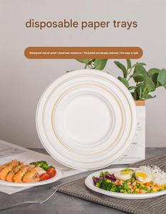 Assiettes jetables en bagasse de canne à sucre écologiques, imperméables et résistantes à l'huile, pour l'emballage alimentaire des fêtes de rentrée scolaire (vente en gros) - Product Image 6