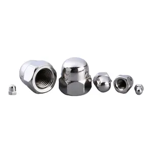 Trang trí thép không gỉ Hex Dome cap Nuts M3 M4 M5 M6 M10 din1587 Hex Dome acorn NUT