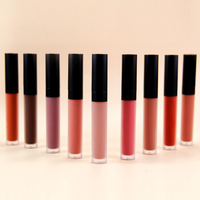 Rouge à lèvres rouge longue durée imperméable à l'eau liquide longue durée rouge à lèvres velours de marque privée