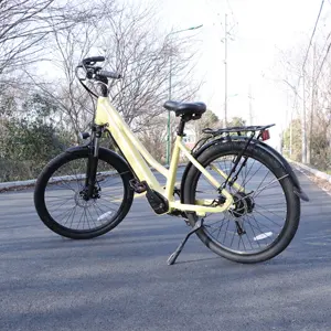 도매 26 인치 전기 자전거 36v 250w 단계를 통해 전기 자전거 이동식 리튬 배터리 Ebike 여성 남성