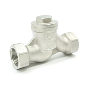 Vanne de retenue à filetage femelle en acier inoxydable 304, étanchéité PTFE, hydraulique, industrielle, pour <span class=keywords><strong>pompe</strong></span> à eau à vapeur, vannes de <span class=keywords><strong>relevage</strong></span> <span class=keywords><strong>anti</strong></span>-<span class=keywords><strong>retour</strong></span> - Product Image 3